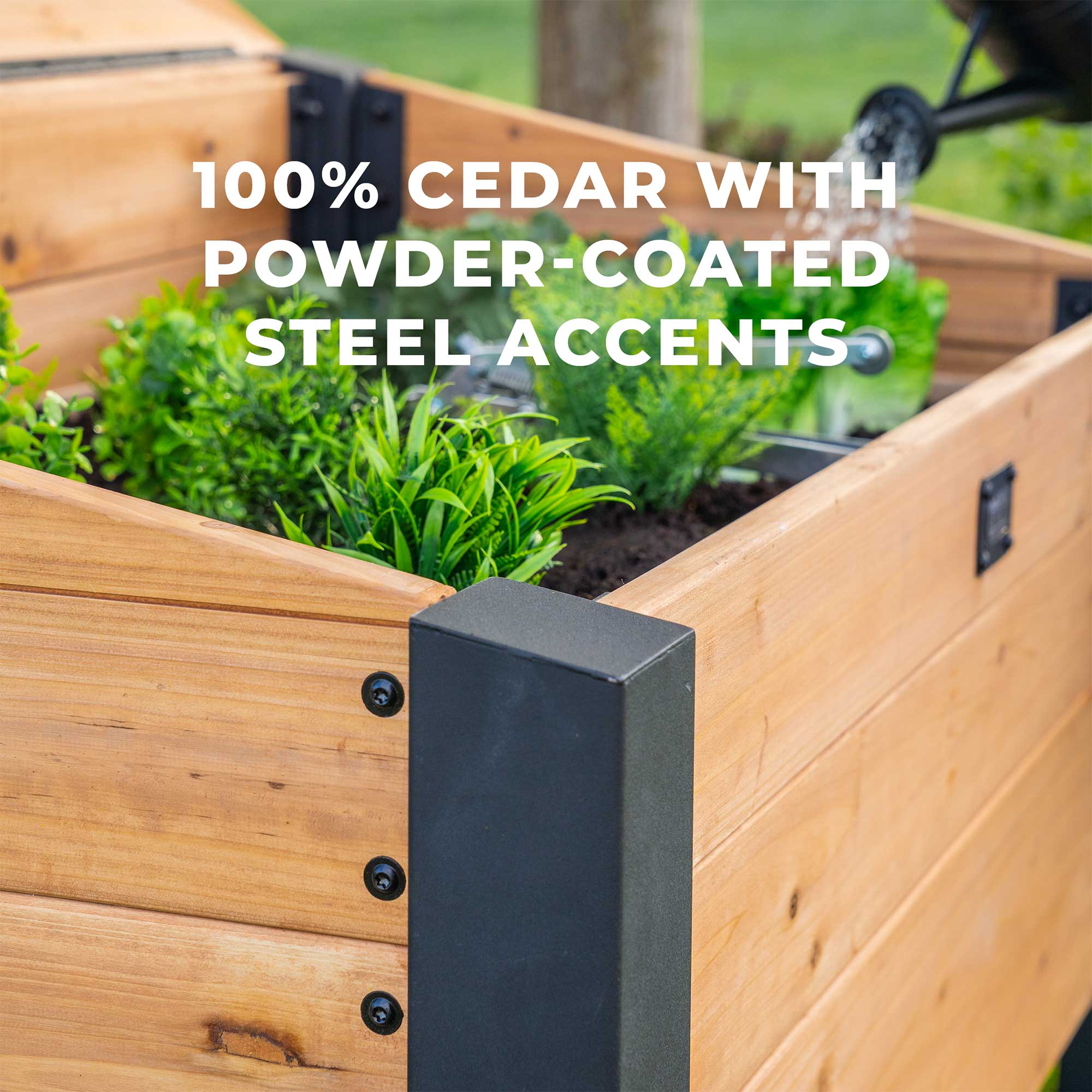 Aggie Cold Frame Box - Image 3