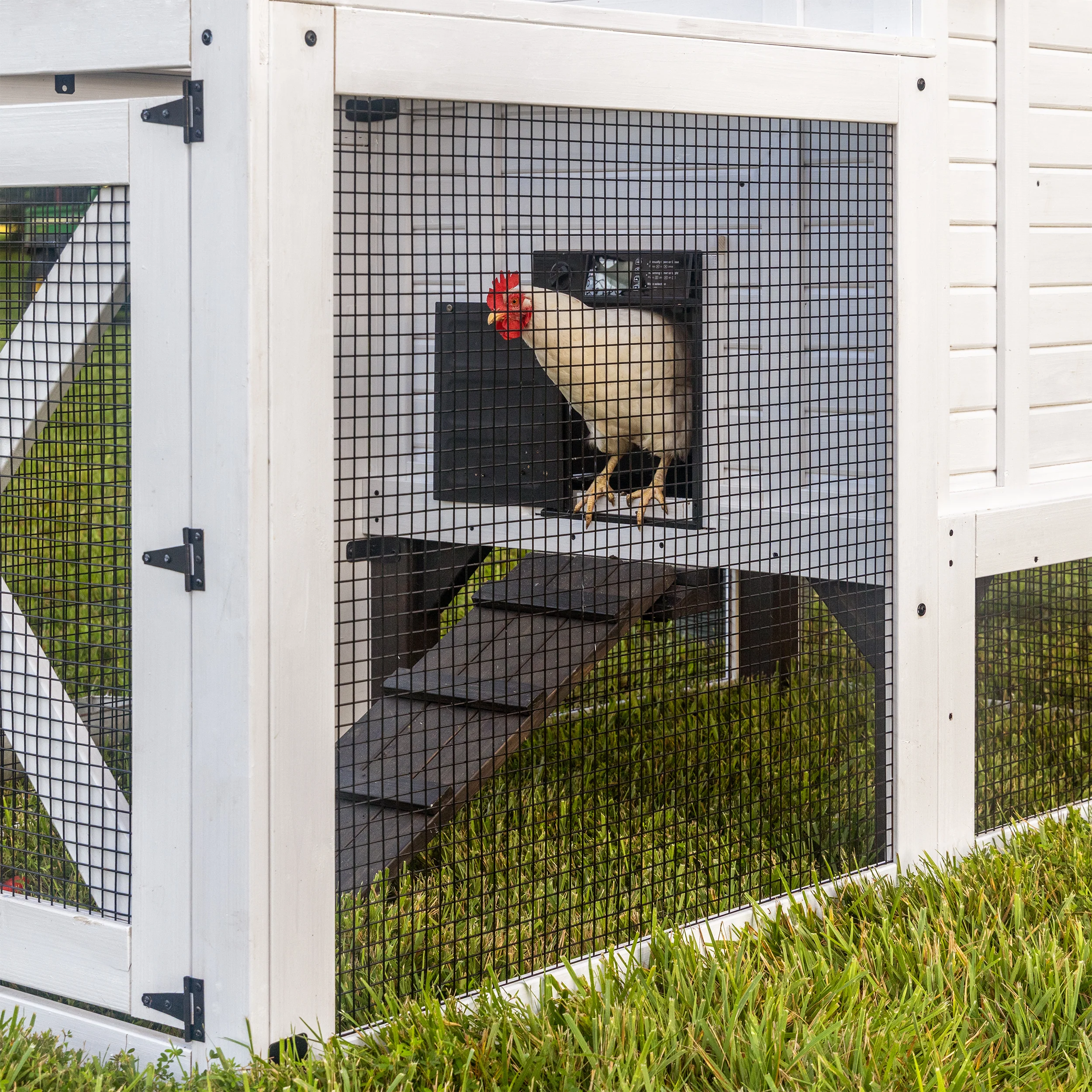Sweetwater Chicken Coop - Image 6